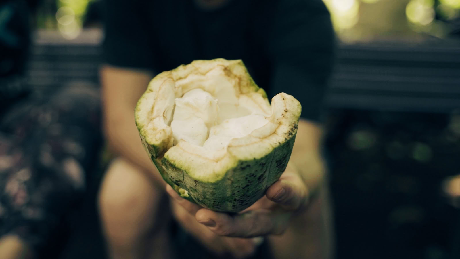 Cacao Source