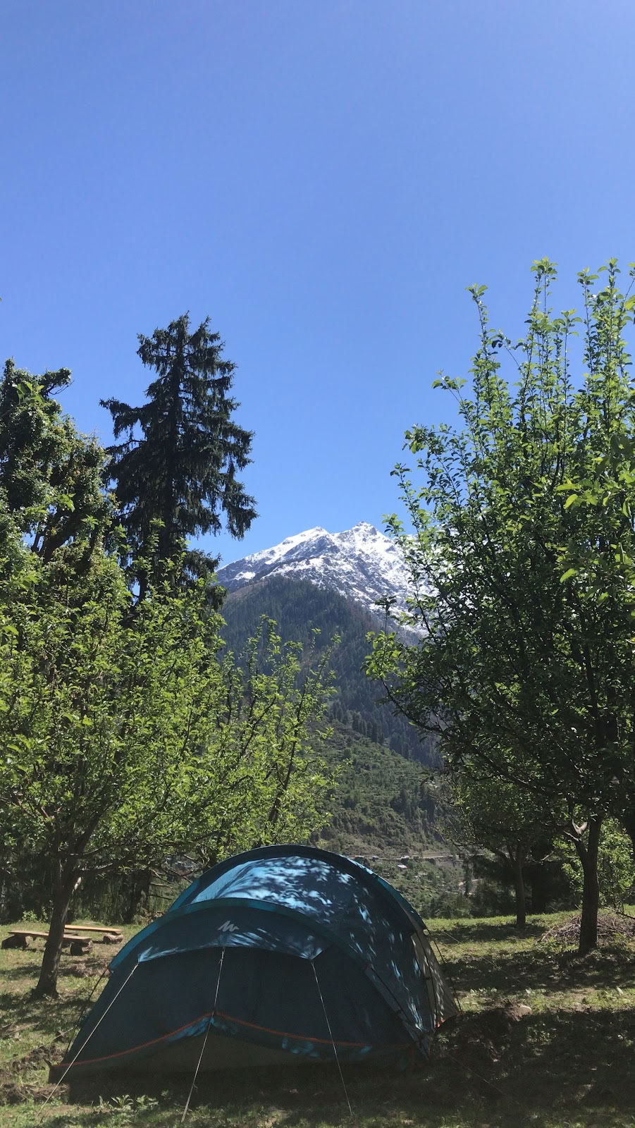 Ameya Himalayan Yogi's