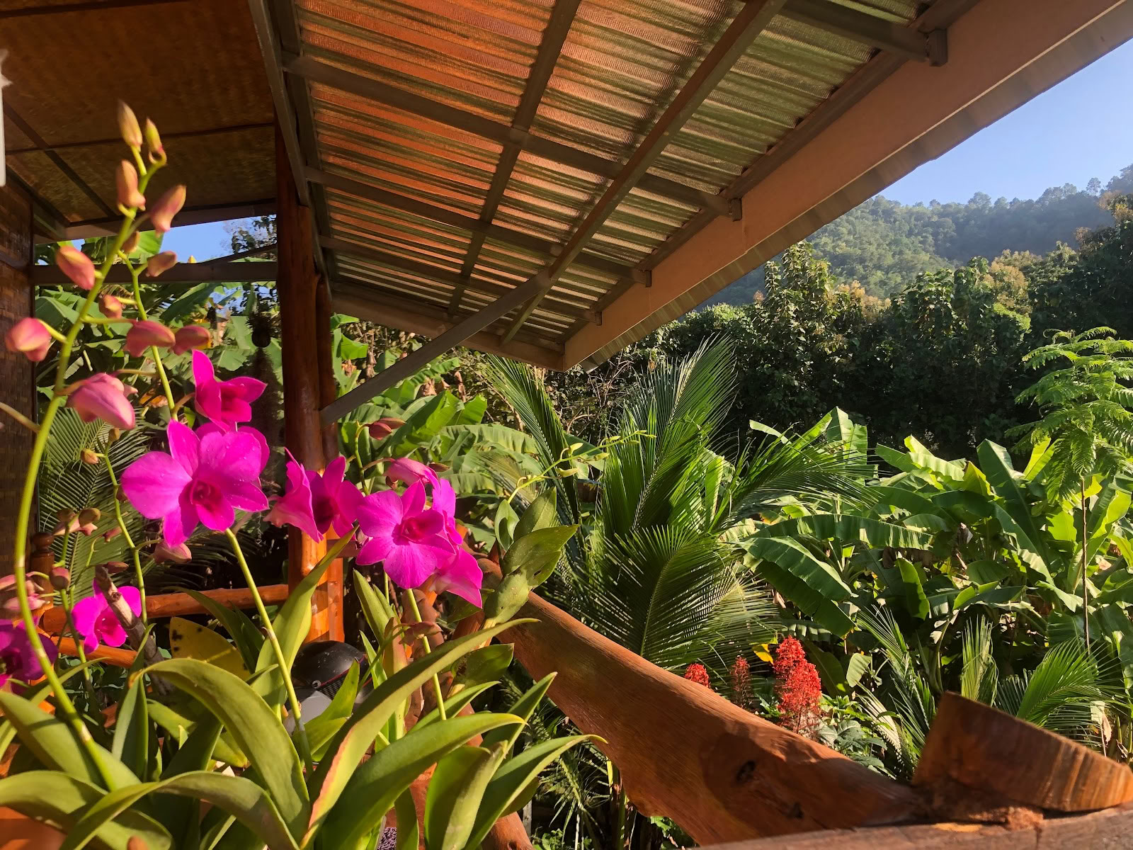 True Nature Chiang Mai - Jogos ir meditacijos namų viešnagės retritas