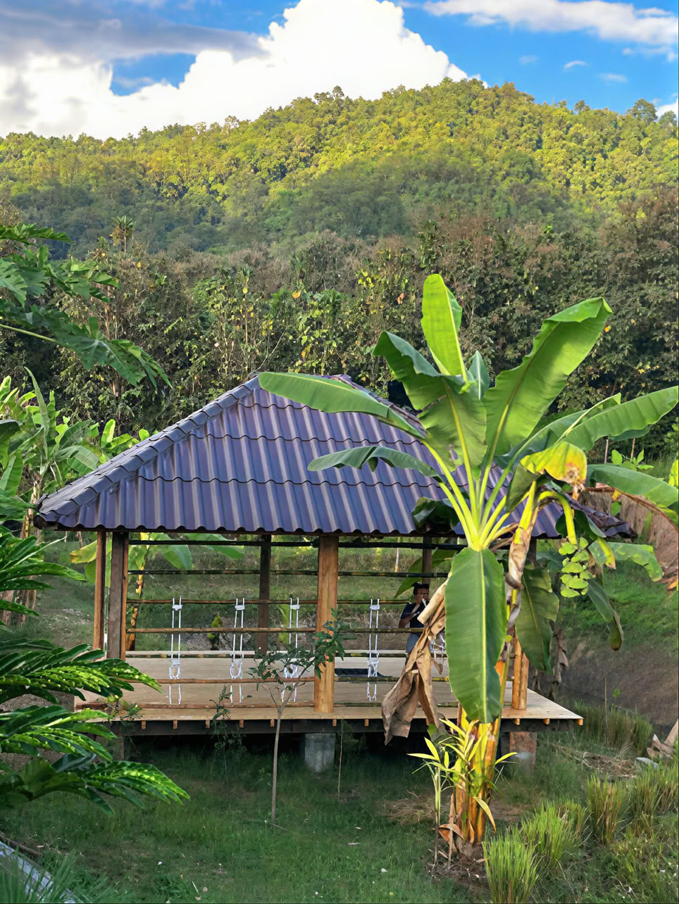 True Nature Chiang Mai - Jogos ir meditacijos namų viešnagės retritas