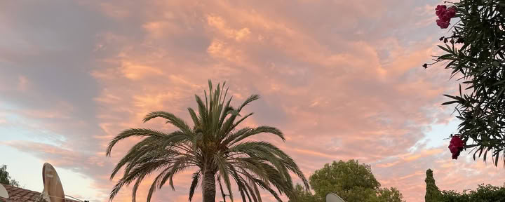 La Crisalida retritai