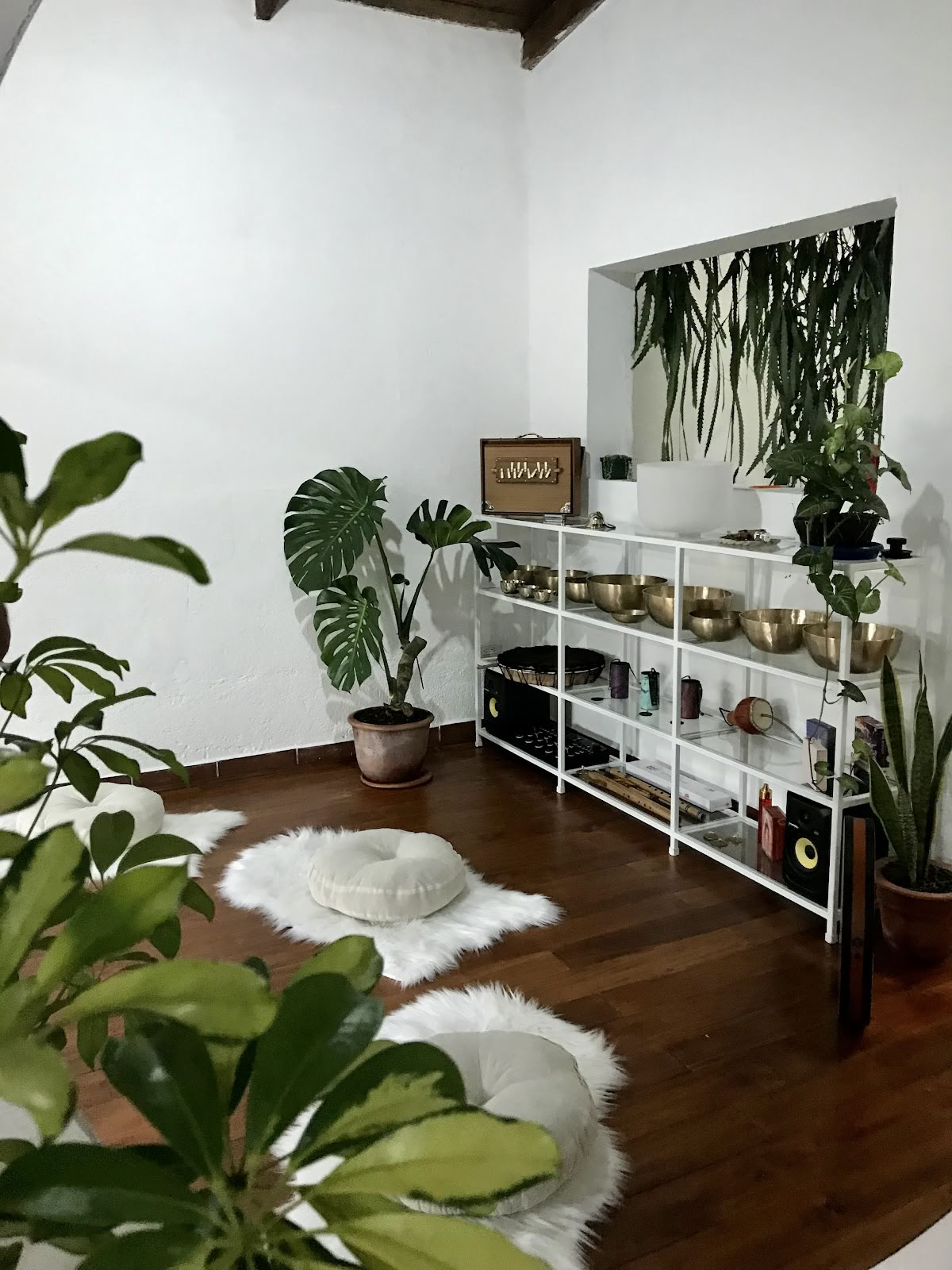 Holistic Bloom - Sveikatingumo centras