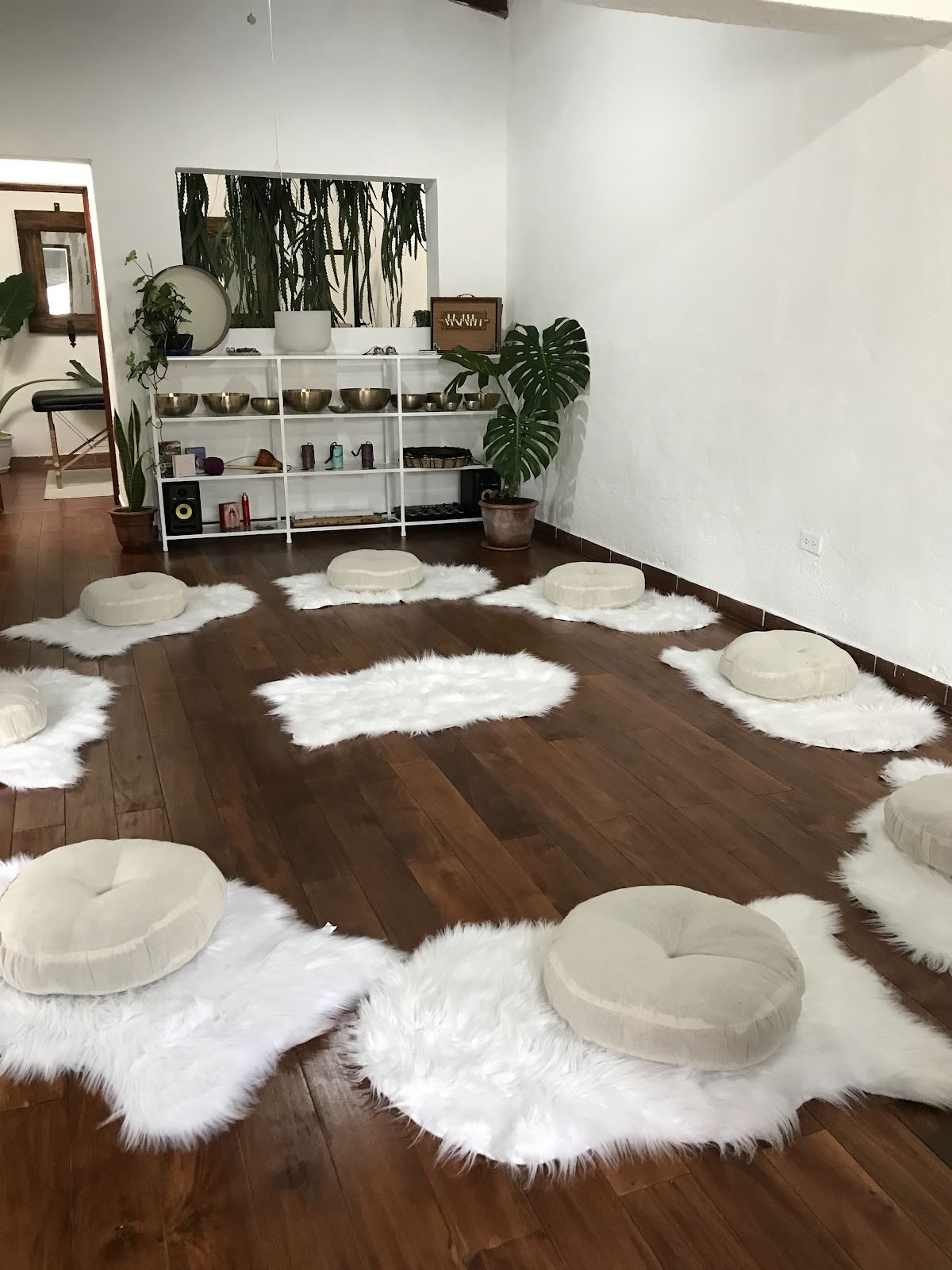Holistic Bloom - Sveikatingumo centras