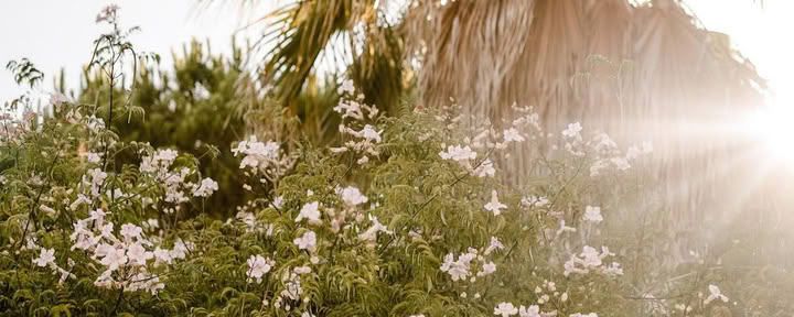 Transform to Bliss Joga, Renginiai ir Sveikatingumo Erdvė - Lagos, Algarve