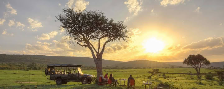 Safari ir joga