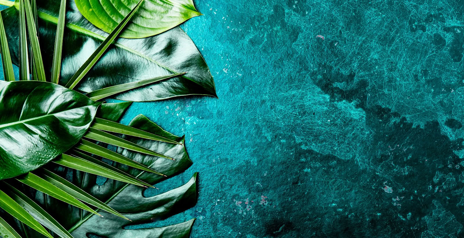 Grace Light Sveikatingumo
