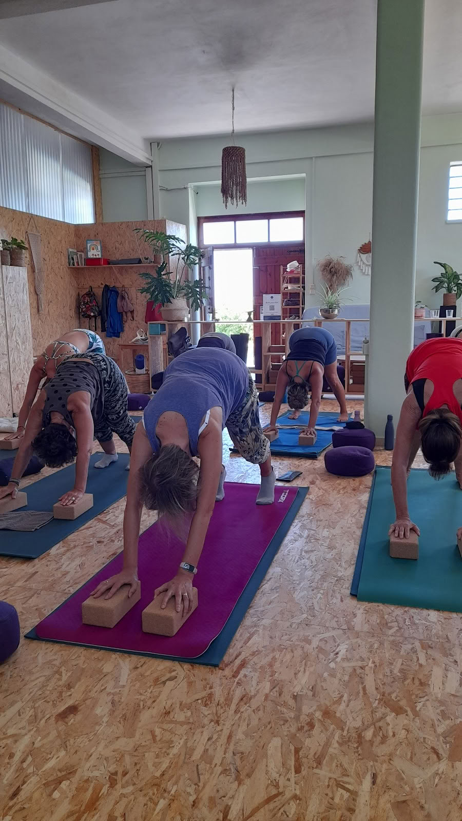 Holon joga