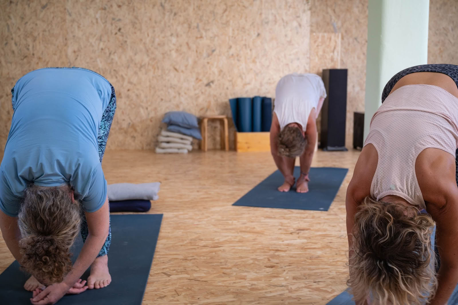 Holon joga
