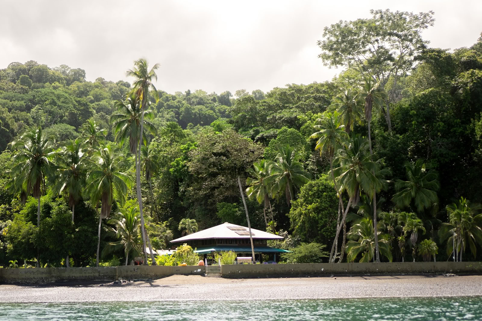 Pandorita Costa Rica – Ajahuaskos seminarai