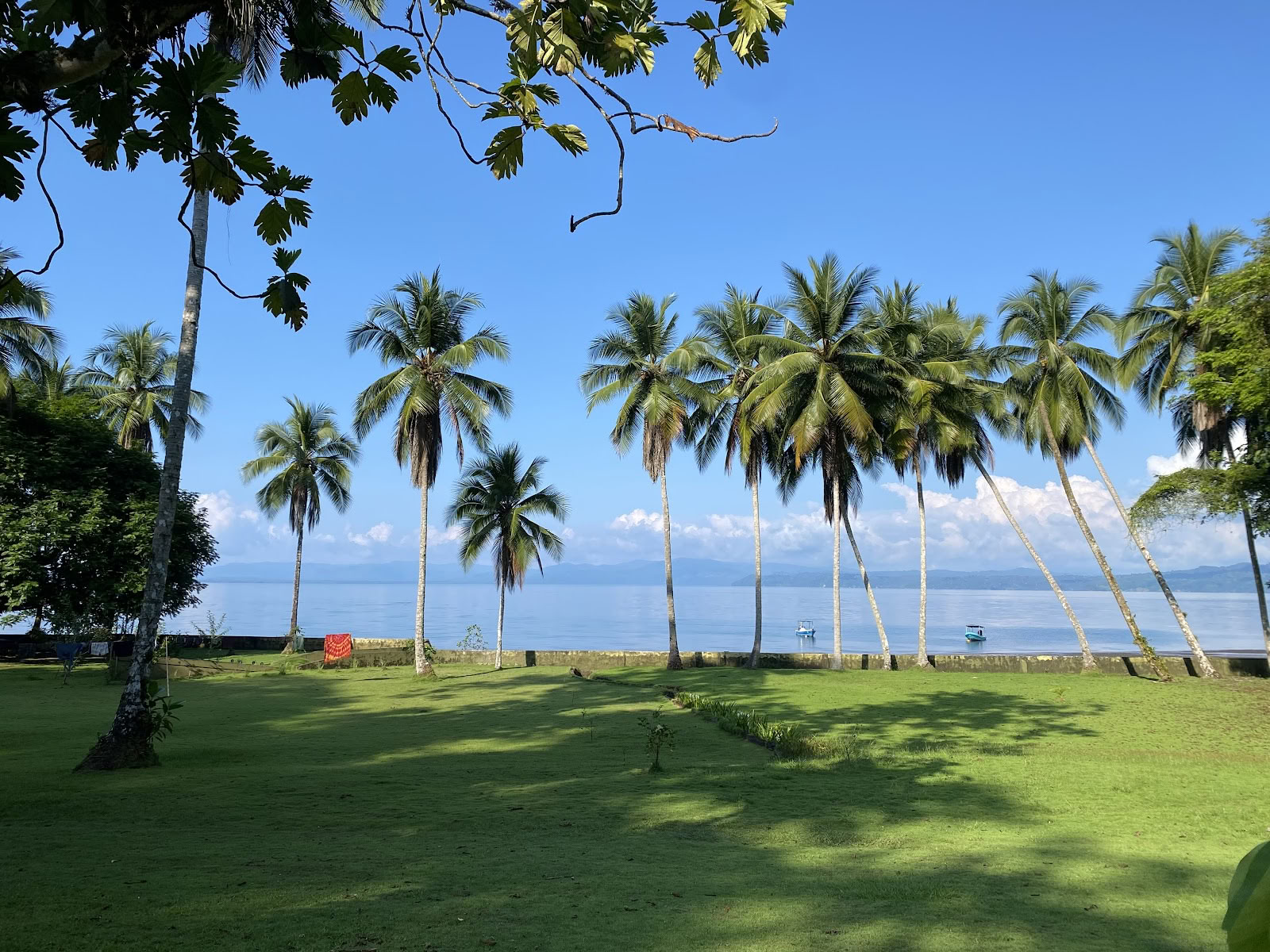 Pandorita Costa Rica – Ajahuaskos seminarai
