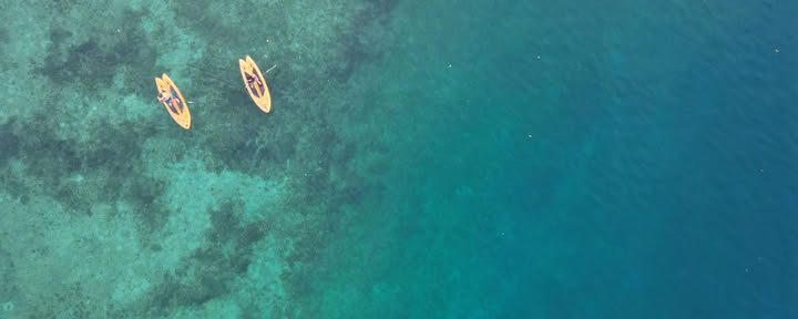 Pandorita Costa Rica – Ajahuaskos seminarai