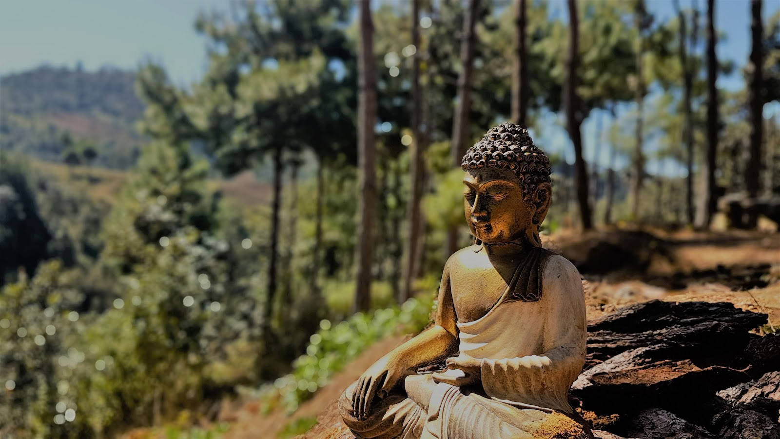 Hridaya šeimos meditacijos ir jogos retritų centras