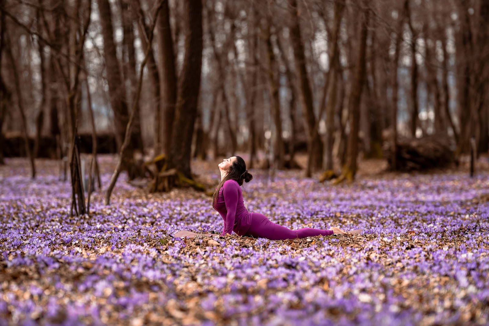 Naturejoga