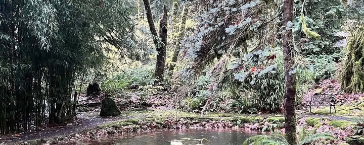 Debesų kalnas