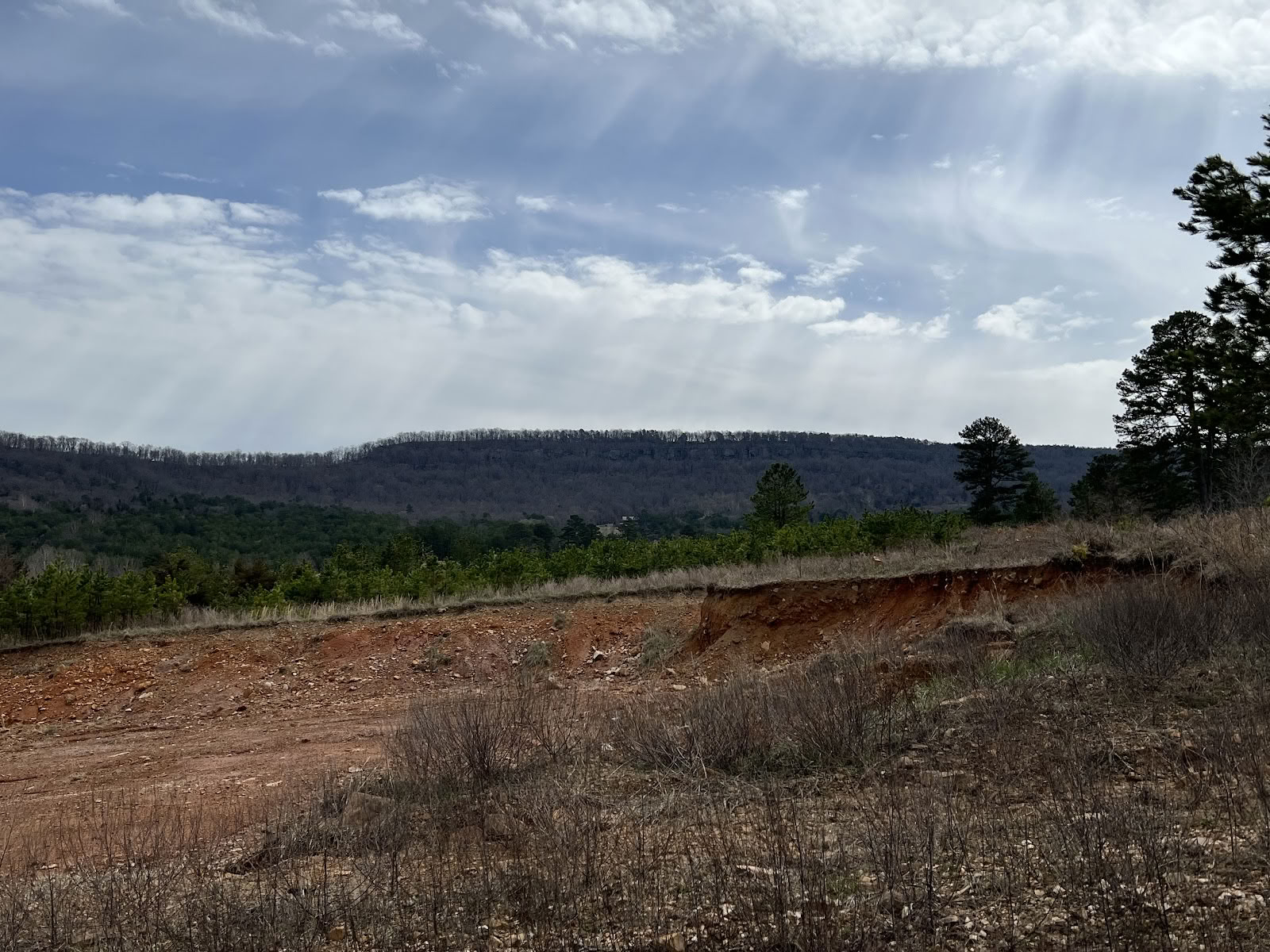 Stovykla „Iron Bluffs“