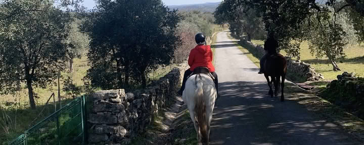 Marvão arkliai