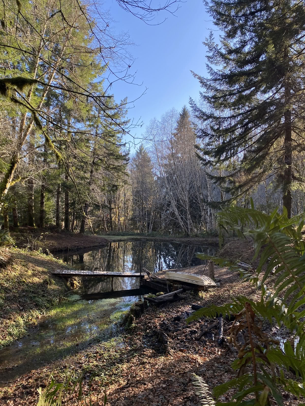 Tamsūs retritai Oregone