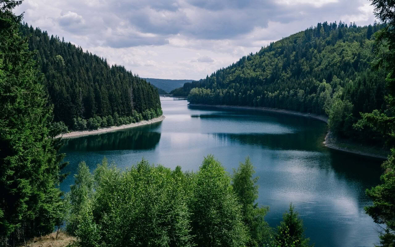 Eutonijos retritai