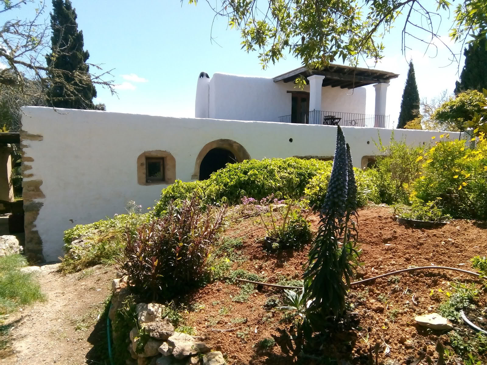 Ibizos judesio menai