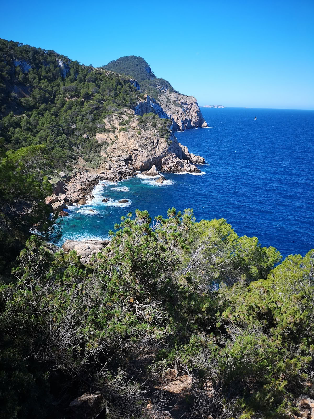 Ibizos judesio menai