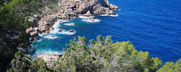Ibizos judesio menai