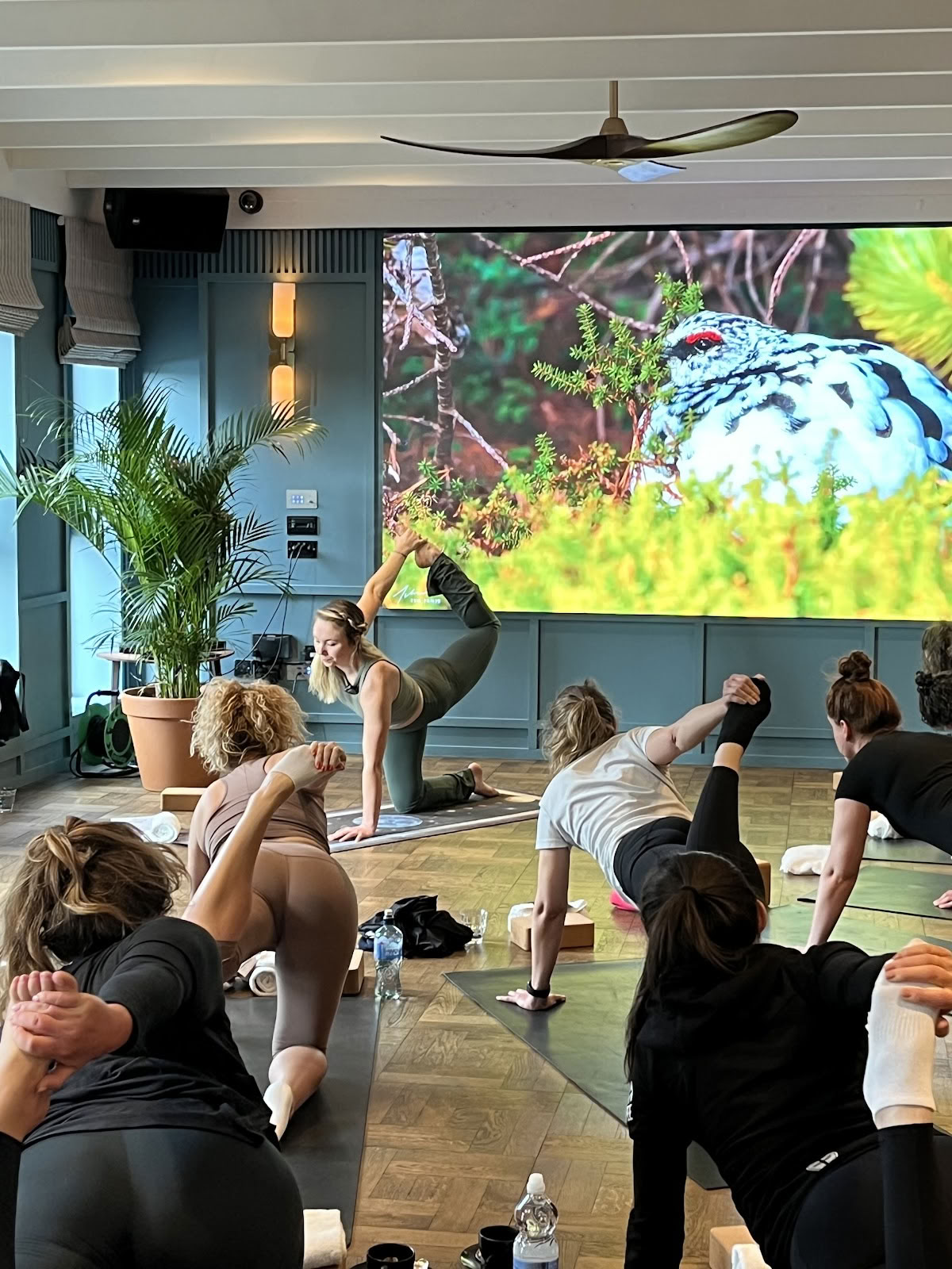 Lauren Marples joga