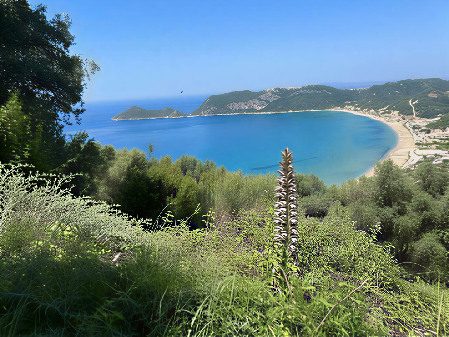 Manto retritas gamtoje | nuo 01.05.2026, nuo šiol valdoma naujos komandos