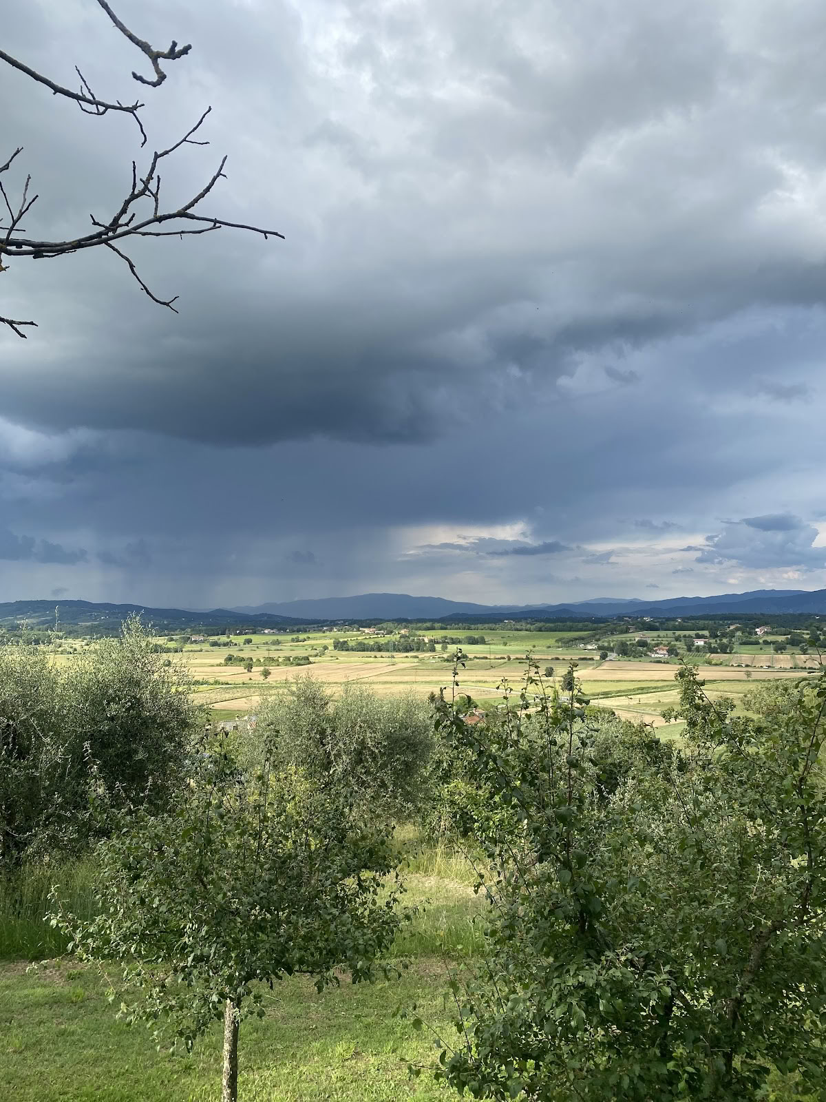 Maraviglia sąmoningo gyvenimo