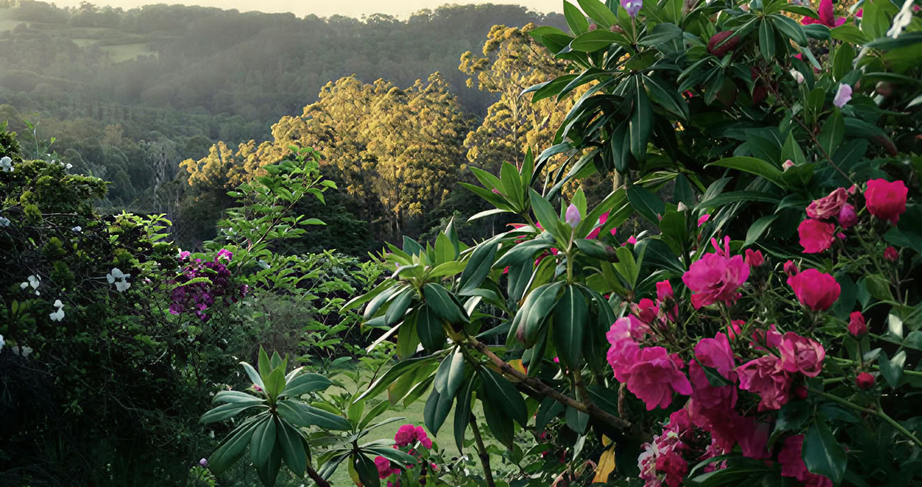 Mirador Springs retritas