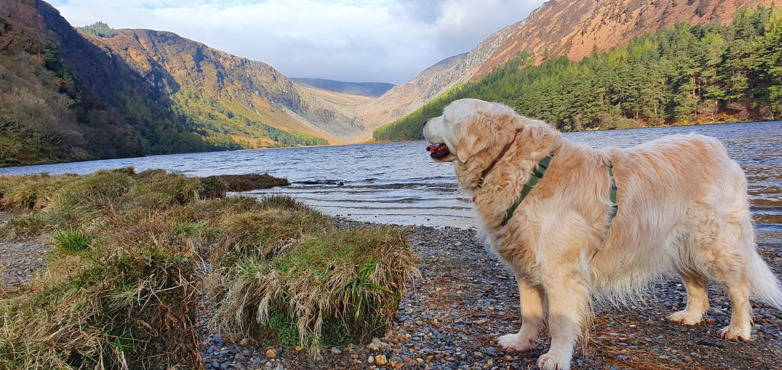 Glendalough šventovė