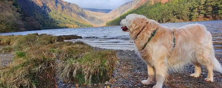 Glendalough šventovė