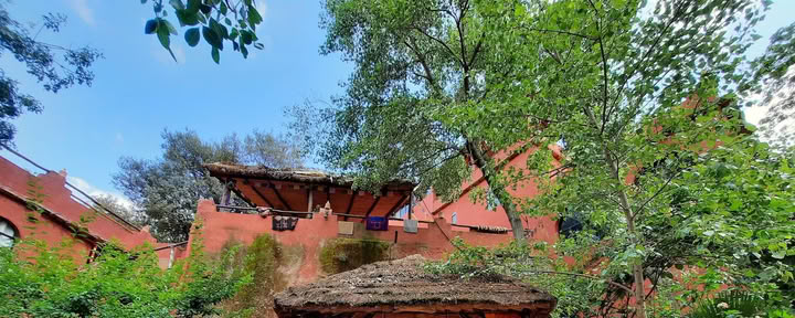 Salama ajurveda