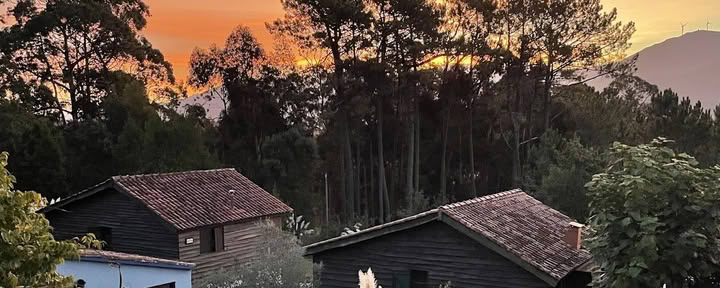 Šakti Rio Mino