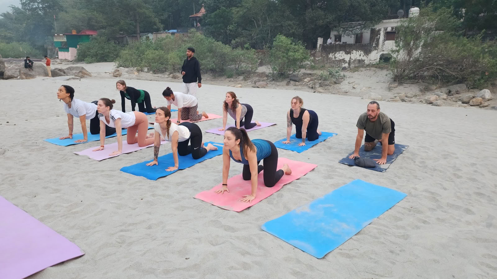 Sri Yoga Ašramas | Jogos mokytojų rengimo kurso organizatorius Rišikeše