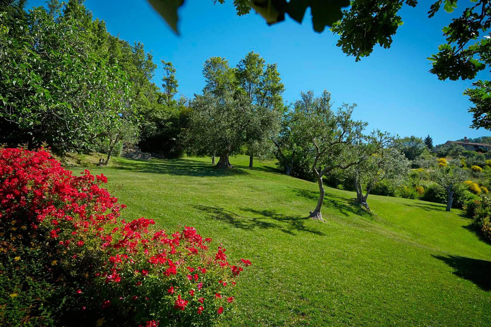 „Locanda del Gallo“
