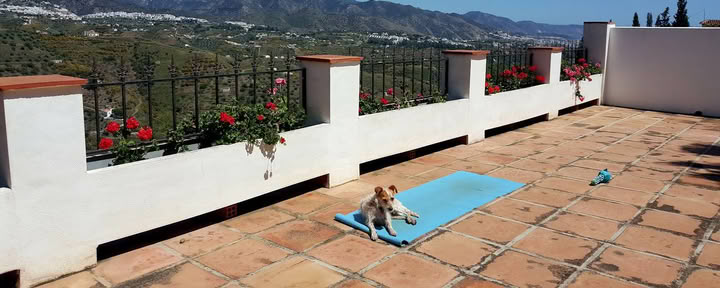 Jogos atostogos Paradiso. La Rejana