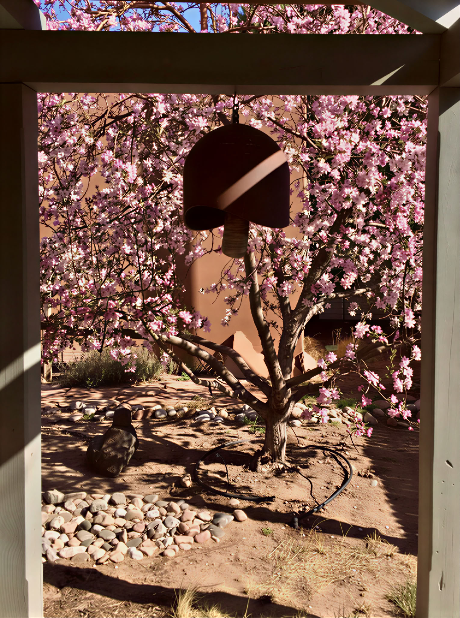 Albuquerque Zen centras