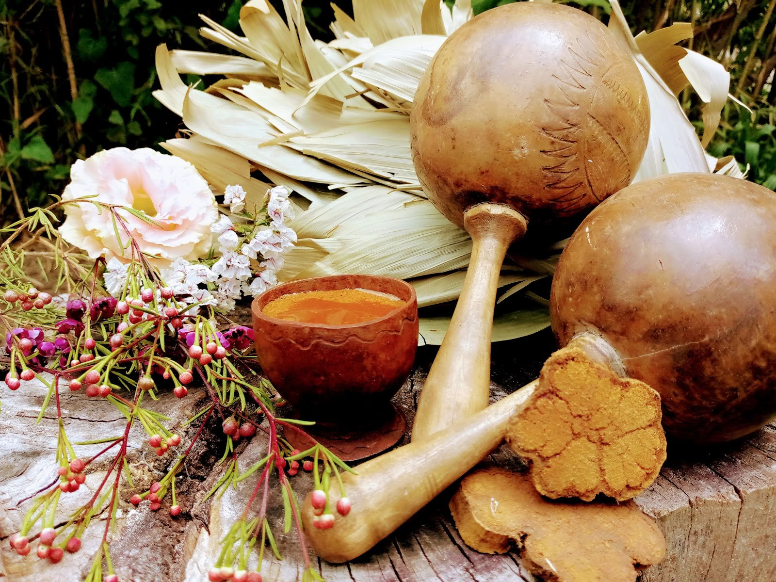 Saulės gydymas – ajoskos ceremonija