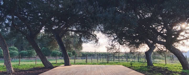 „Cocoon Portugal“