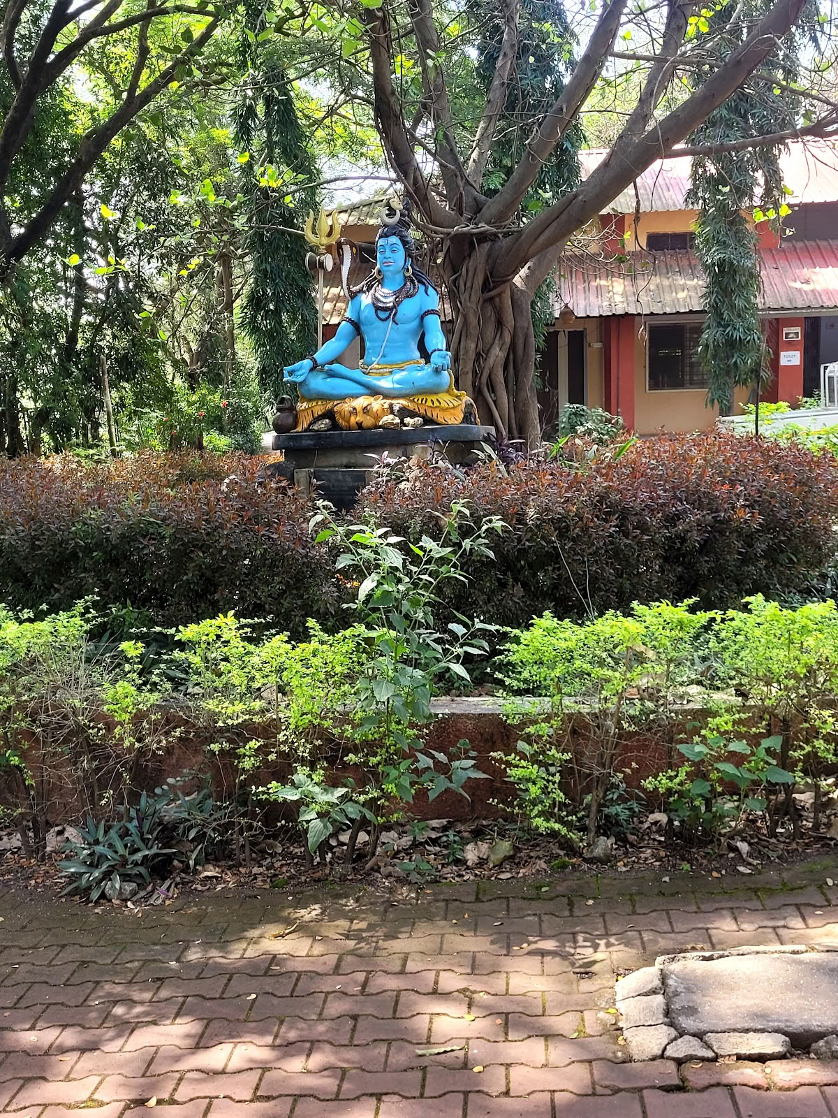 „Yoga Vidya Gurukul“