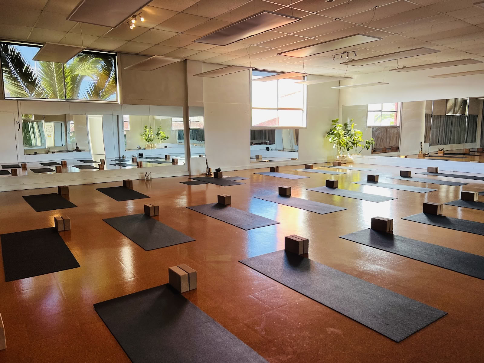 Žolės šaknų joga + pilatesas