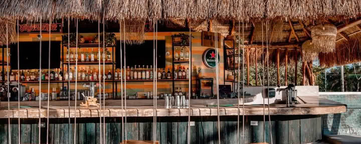 Mayan Monkey Hostel Tulum