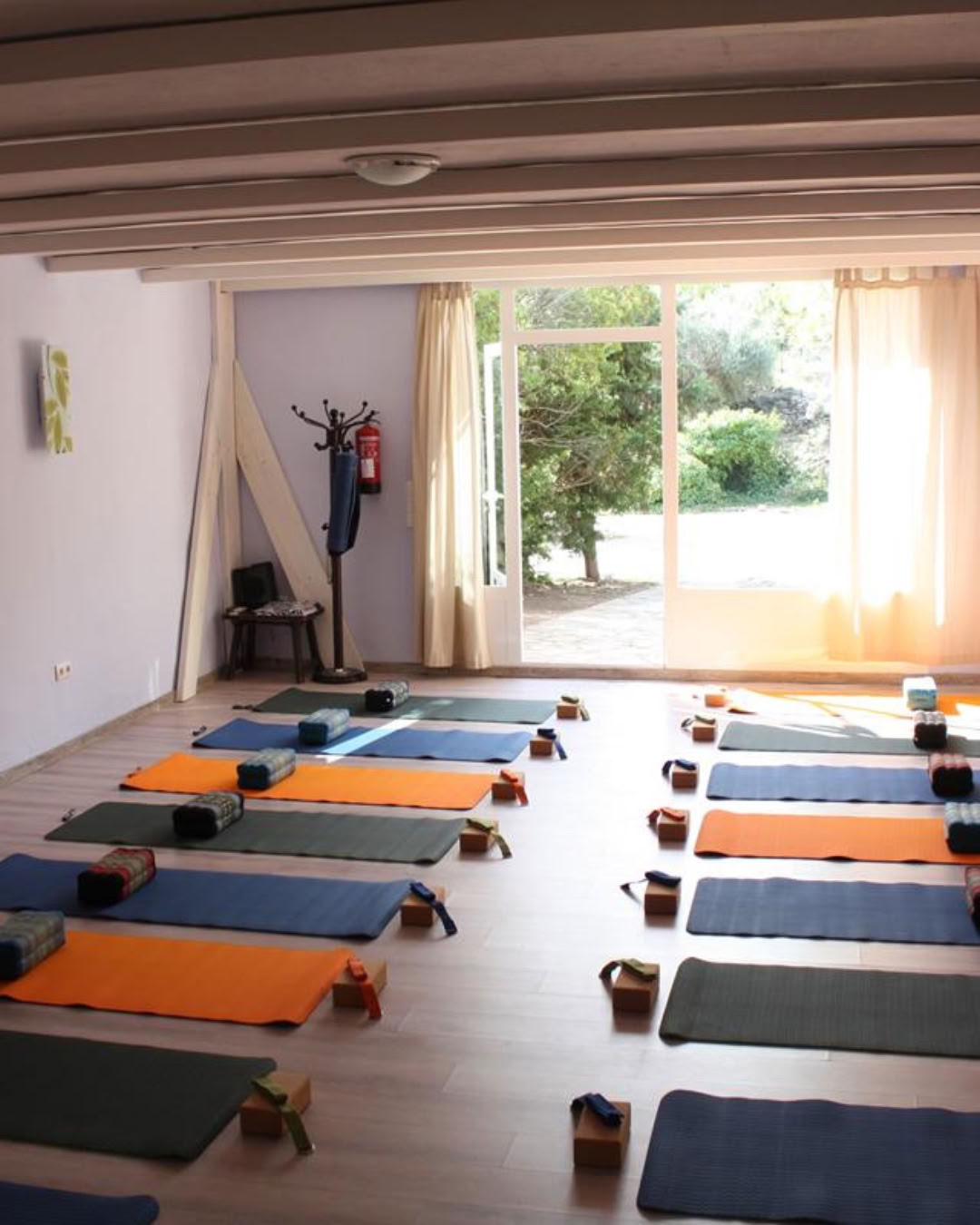 Emily Gold joga