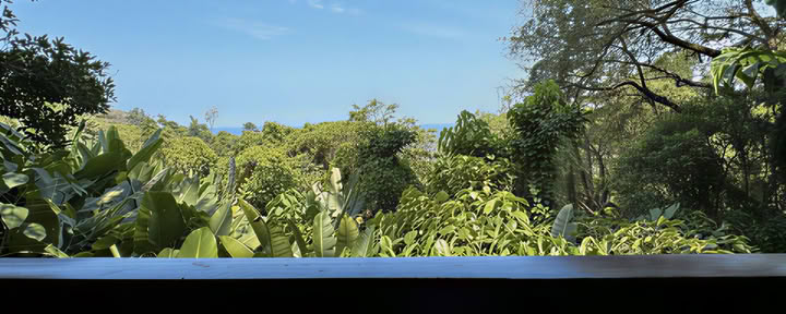 Bungalas su loftu