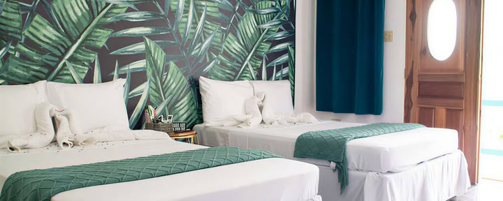 Suite 7 – Bamboo Bay (Dvivietis kambarys)