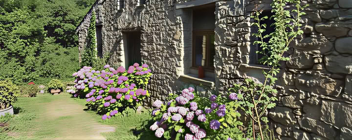 Zendo apartamentai A