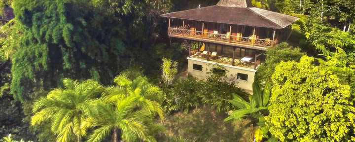 3 guests in PRIVATE VIP Potoo House for 3 (no air con)