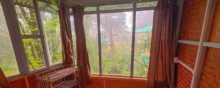 Apartamentas „Vandens lelija“