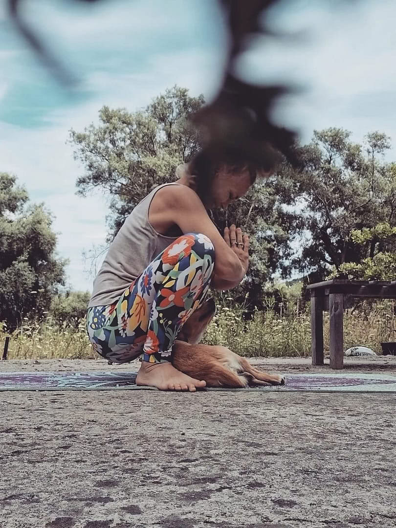 Nadi (Apanema Mindfulness)